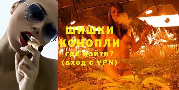 PSILOCYBIN Гусиноозёрск