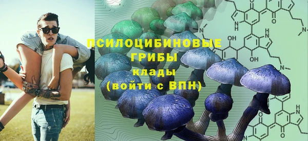 PSILOCYBIN Гусиноозёрск