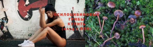 бошки Вязники