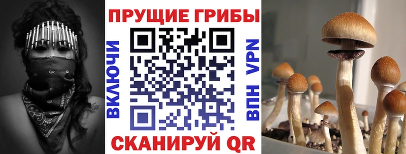 Псилоцибиновые грибы Magic Shrooms  Дивногорск 